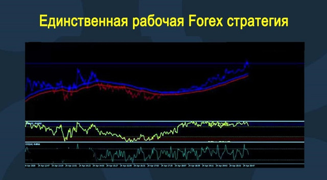 %D0%95%D0%B4%D0%B8%D0%BD%D1%81%D1%82%D0%B2%D0%B5%D0%BD%D0%BD%D0%B0%D1%8F%20%D1%80%D0%B0%D0%B1%D0%BE%D1%87%D0%B0%D1%8F%20Forex%20%D1%81%D1%82%D1%80%D0%B0%D1%82%D0%B5%D0%B3%D0%B8%D1%8F%20%D0%BD%D0%B0%20%D0%B4%D0%B0%D0%BD%D0%BD%D0%BE%D0%BC%20%D1%81%D0%B5%D1%80%D0%B2%D0%B8%D1%81%D0%B5!.jpg